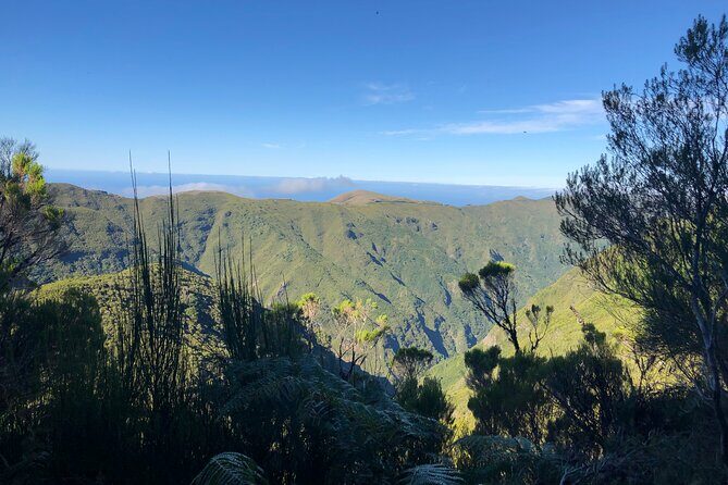 Madeira: Private Guided Walk Vereda Fanal PR13 - Analyzing the Value: Price & Experience