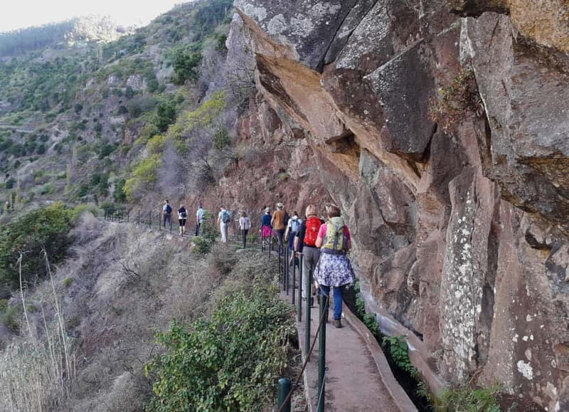 Madeira: Private Half-Day Walking and 4x4 off-road Tour - Exploring the Details of the Tour