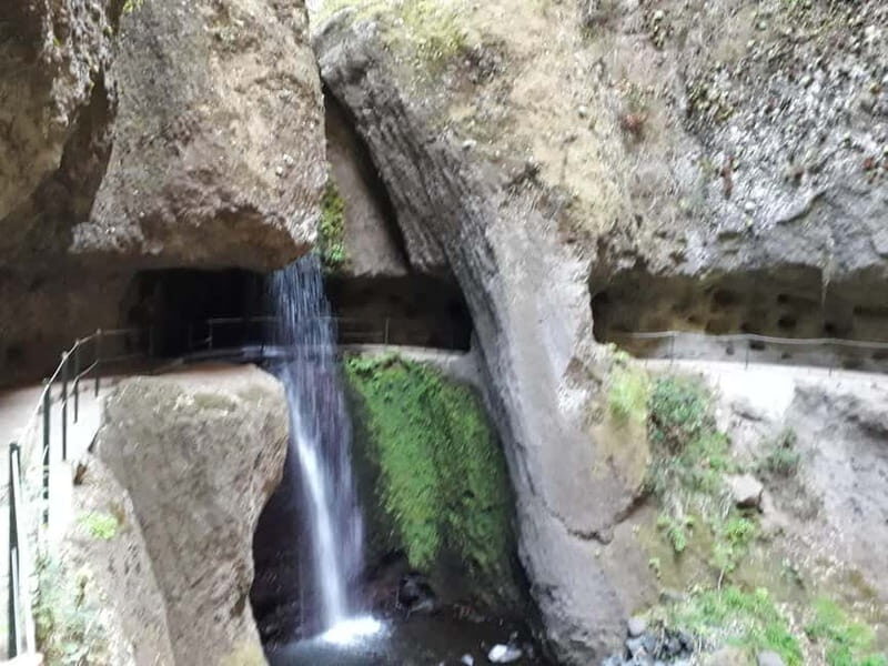 Madeira: Private Half-Day Walking and 4x4 off-road Tour - FAQ