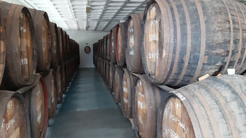 Madeira: Private Half-Day Wine Tasting Tour - Key Points