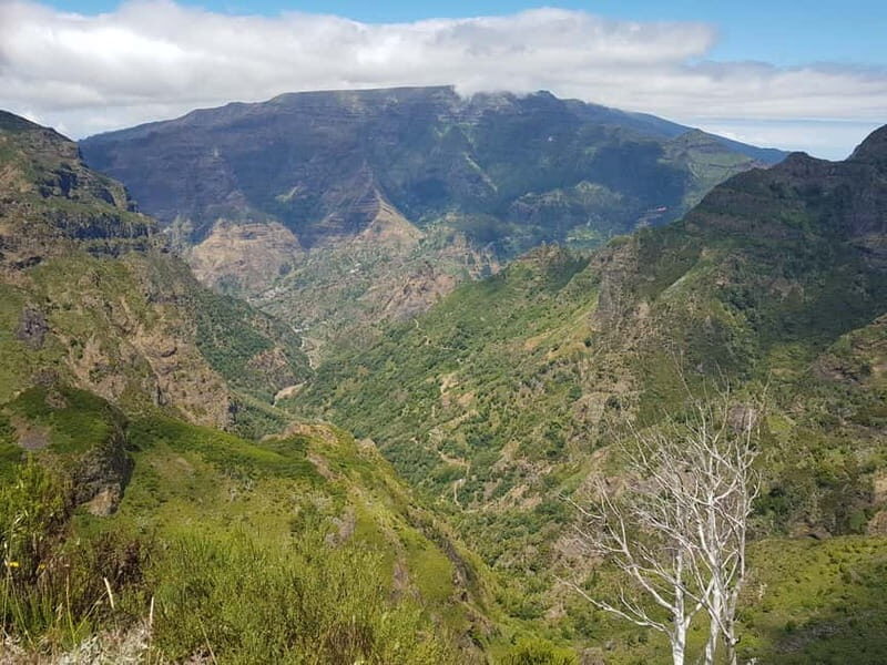Madeira: Private Laurisilva Tour - Exploring Madeira’s Natural Wonders in 4 Hours