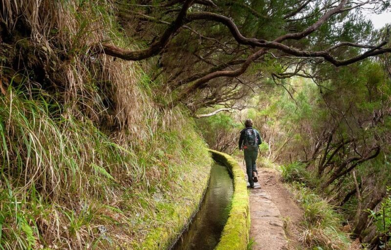 Madeira: Private Levada/Hike Experience with a Local Guide - Who Will Love This Tour?