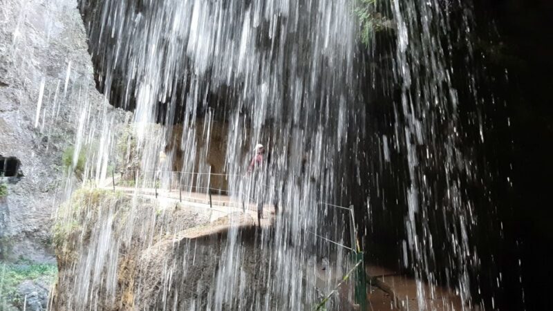 Madeira: Private Moinhos Levada Nova Walk Ponta do Sol - What’s Included & What to Consider