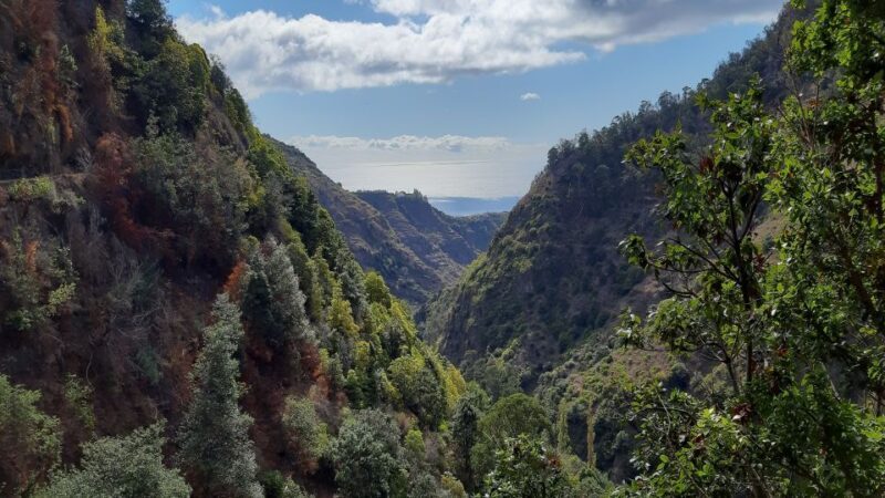 Madeira: Private Moinhos Levada Nova Walk Ponta do Sol - Practical Details & Tips