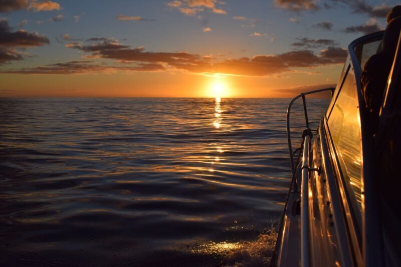 Madeira: Private Sunset Yacht Cruise with Snorkeling & Wine - An In-Depth Look at the Madeira Sunset Yacht Cruise