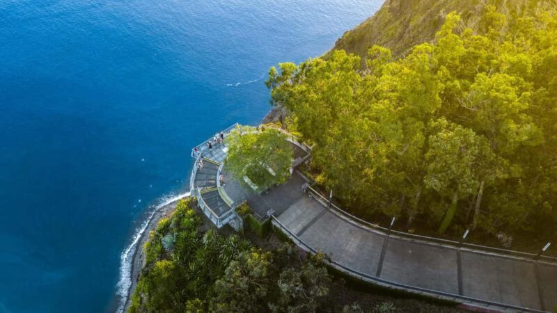 Madeira: Private Tour for Cruise Ship Passengers - Key Points