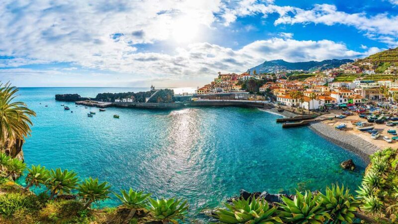 Madeira: Private Tour for Cruise Ship Passengers - Transport and Comfort