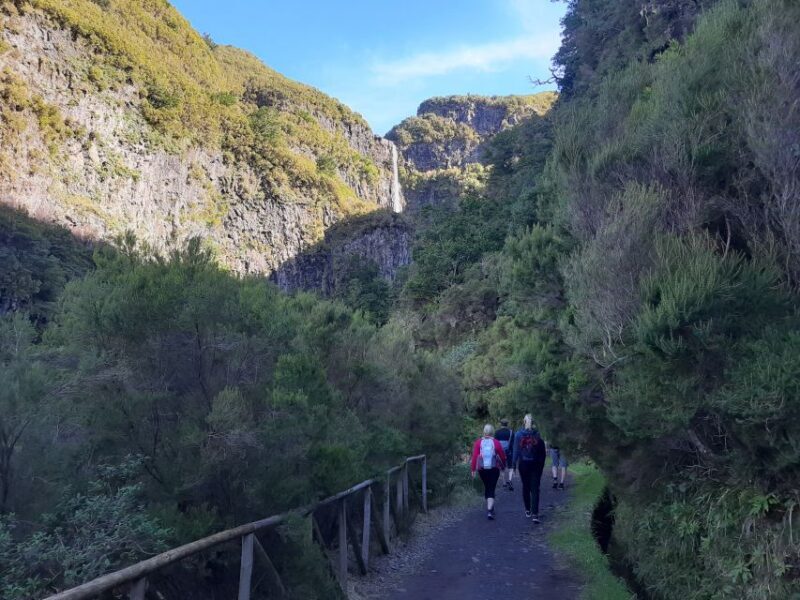 Madeira: Private Walking Tour of Levada das 25 Fontes PR6 - An In-Depth Look at the Tour Experience