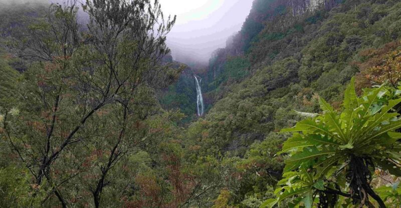 Madeira: Private Walking Tour of Levada das 25 Fontes PR6 - Who Would Love This Tour?