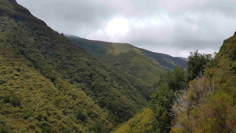 Madeira: Private Walking Tour of Levada das 25 Fontes PR6 - FAQ