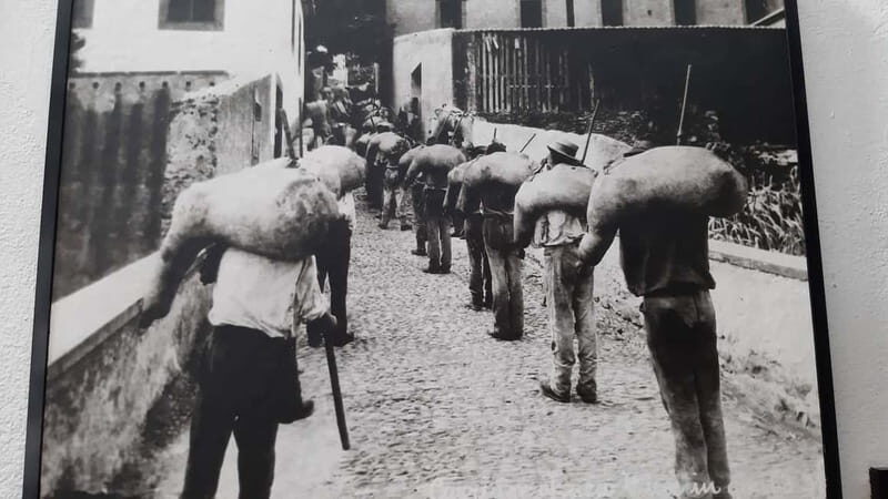 Madeira: Private Weekend Wine Tasting in São Vicente - A Closer Look at the Madeira Private Wine Tasting Experience