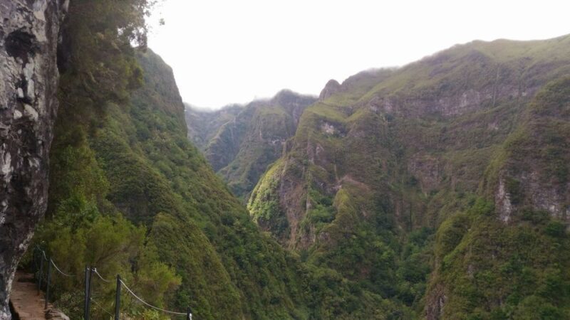 Madeira: Queimadas, Caldeirão Verde and Levada Walk - About the Experience