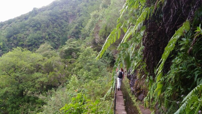 Madeira: Queimadas, Caldeirão Verde and Levada Walk - FAQs