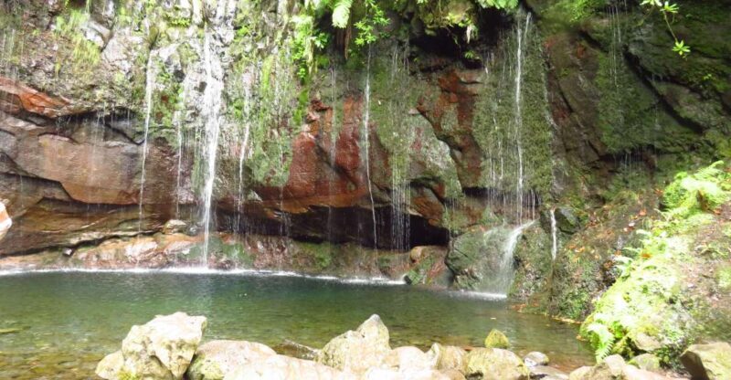 Madeira: Rabaçal, Risco and 25 Fontes Guided Hiking Tour - Exploring Madeira’s Natural Beauty: The Rabaçal, Risco, and 25 Fontes Tour