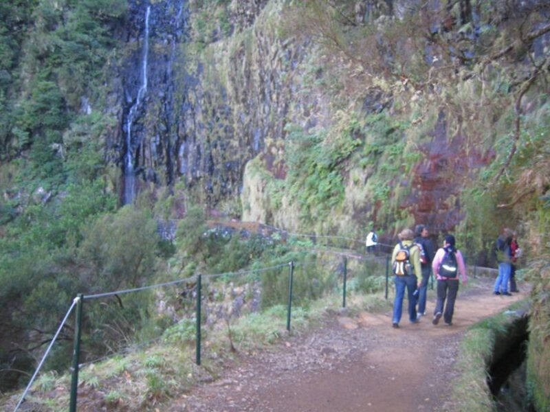 Madeira: Rabaçal, Risco and 25 Fontes Guided Hiking Tour - Final Thoughts