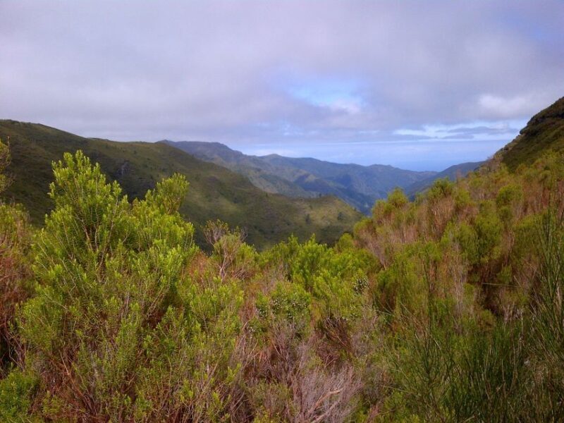 Madeira: Rabaçal Valleys 3-Hour Guided Walk - Exploring the Rabaçal Valleys: What You Can Expect