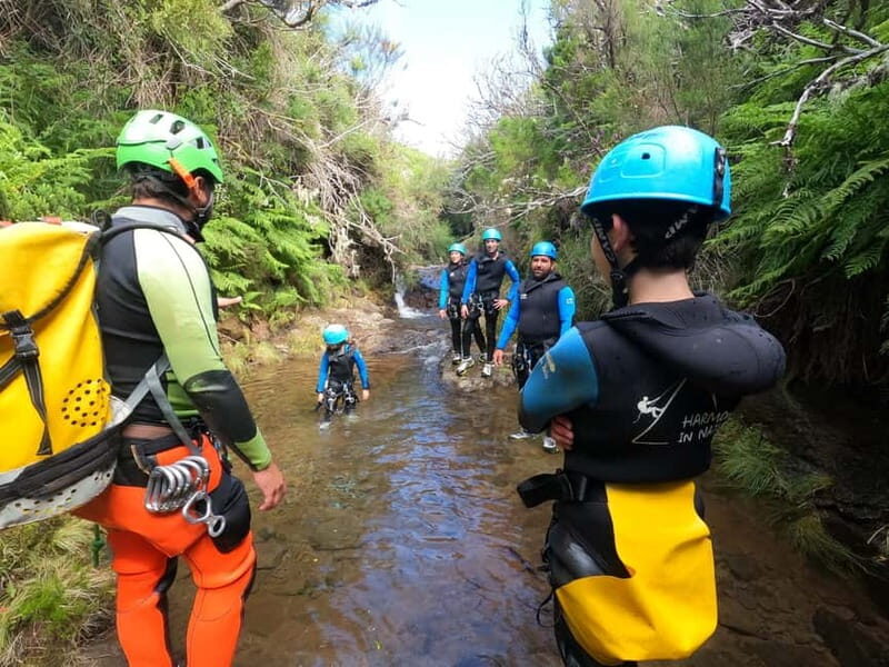 Madeira : Ribeira das Cales Canyoning (Level 1) - Practical Details and Value
