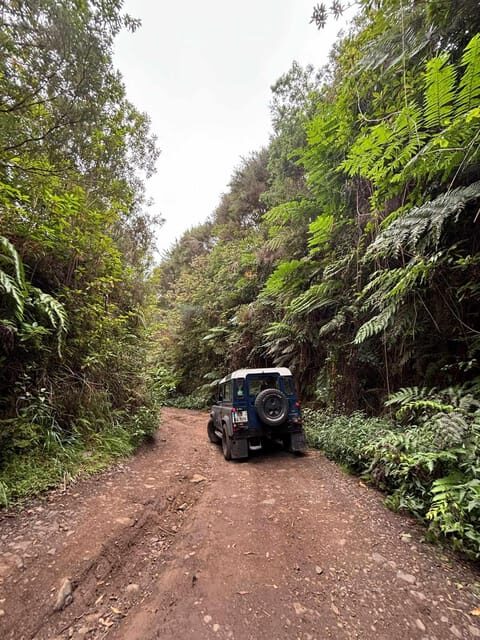 Madeira: Santana; Discover the enchanting East: Duration 7,5h - A Closer Look at the Itinerary and Experience