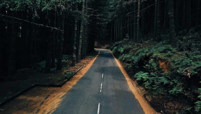 Madeira: Santana; Discover the enchanting East: Duration 7,5h - Practical Tips for Travelers