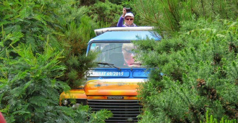 Madeira : Santo de Serra Local Farmers' Market half day trip - Madeira: Santo de Serra Local Farmers Market Half Day Trip — An Authentic Taste of the Island