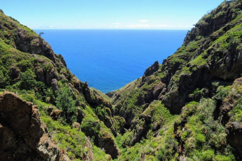 Madeira : Santo de Serra Local Farmers' Market half day trip - FAQs