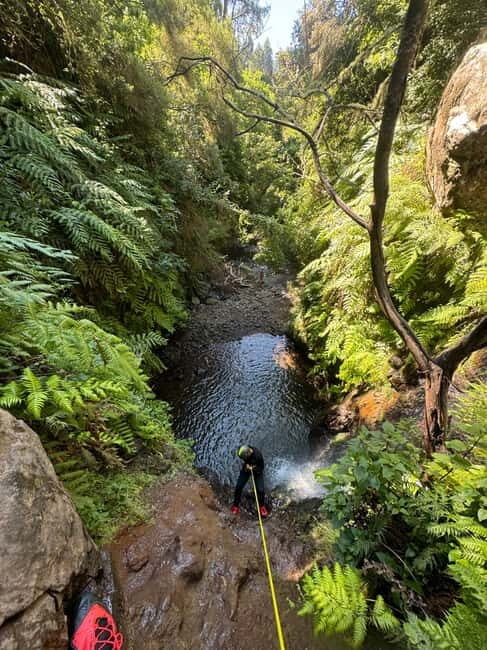 Madeira Short Canyoning For Beginners Rochão Level 1 - An In-Depth Look at the Experience
