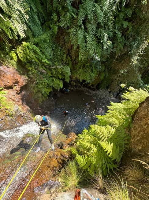 Madeira Short Canyoning For Beginners Rochão Level 1 - FAQs