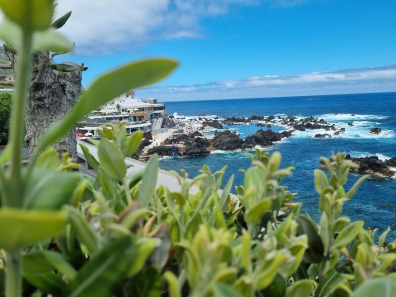 Madeira : SkyWalk, Fanal, Natural Pools 4x4 Jeep Tour - Who Would Enjoy This Tour?