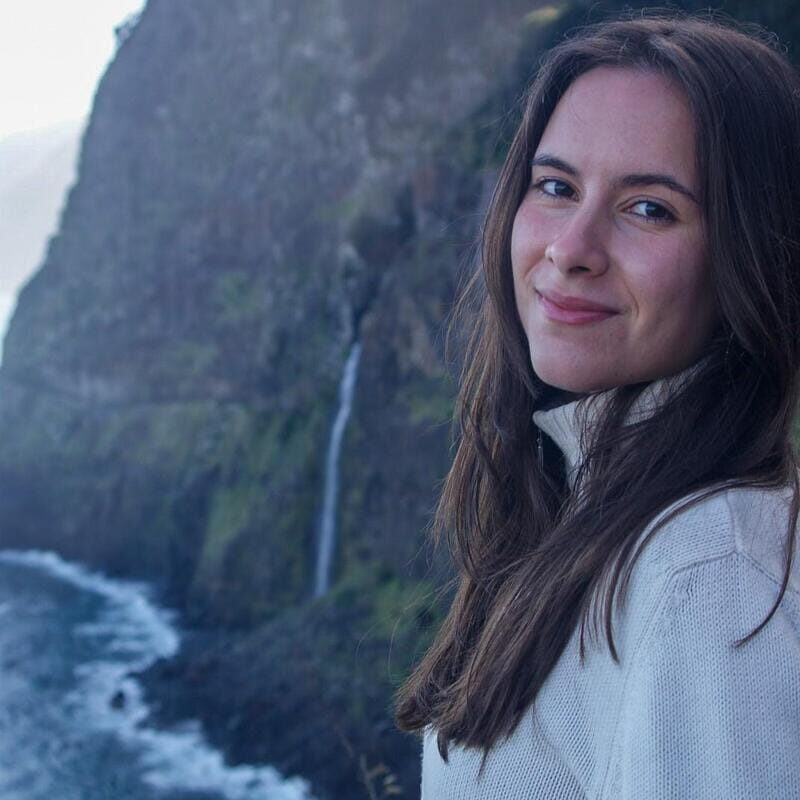 Madeira: Skywalk, Porto Moniz, Seixal, and Fanal 4WD Tour - Transport, Guides, and Overall Value