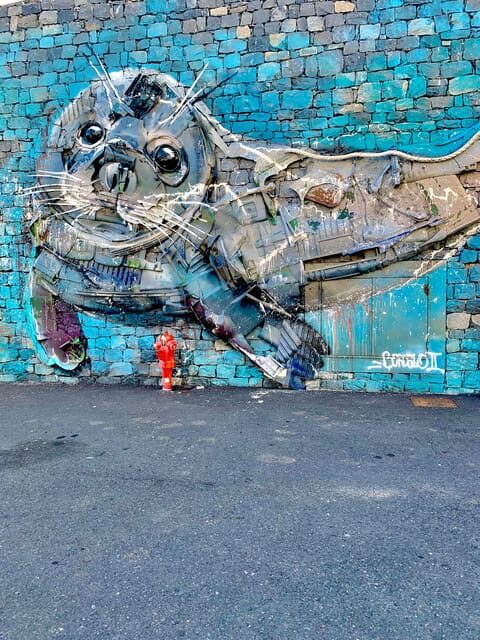 Madeira South Tour: Cabo Girão, Waterfalls for Cruise Ship - Weather & Practical Tips