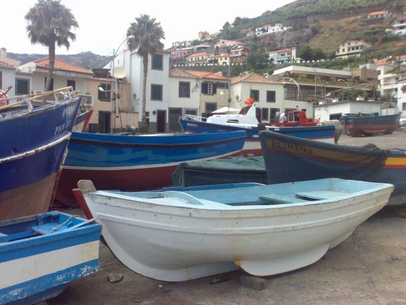 Madeira South West: Half Day Private Tour - Key Points