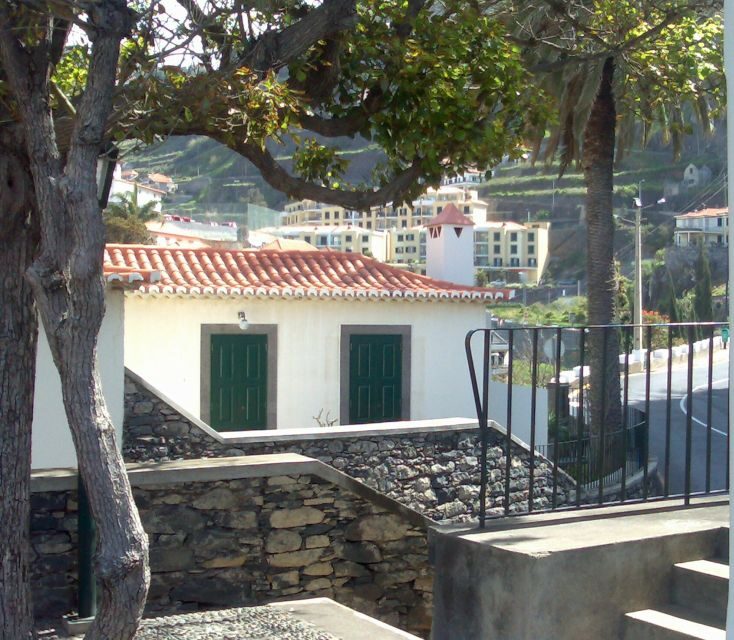 Madeira South West: Half Day Private Tour - Who Is This Tour Best For?