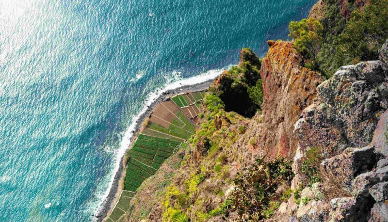 Madeira: Sunny South Side - Cabo Girão, Waterfalls, C. Lobos - What Makes This Tour Stand Out?