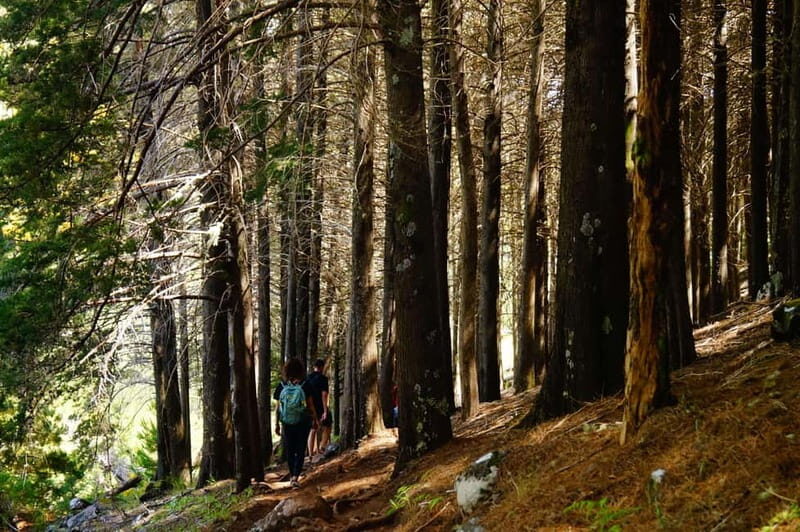 Madeira : Sunrise at Pico do Arieiro + 2 Hikes - PR1 and PR3 - Key Points