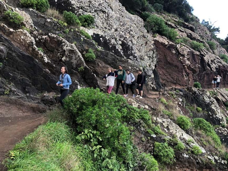 Madeira: Sunrise at Pico do Arieiro & Hike Larano trail - An In-Depth Review of the Madeira Sunrise & Larano Trail Tour