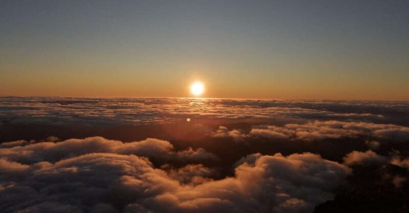 Madeira: Sunrise Half-Day Jeep Tour - Key Points