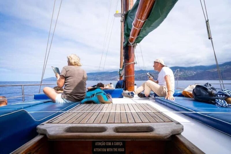 Madeira: Sunset Cruise With a Swim and Drink - Who Should Consider This Tour?