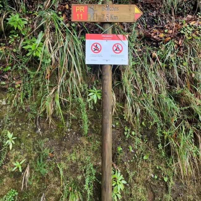 Madeira: Surreal East Experience - What to Bring and Considerations