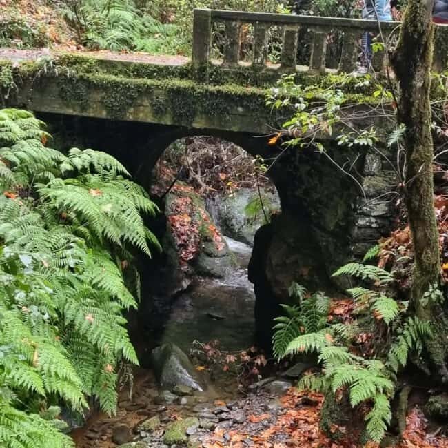 Madeira: Surreal East Experience - The Value of This Tour