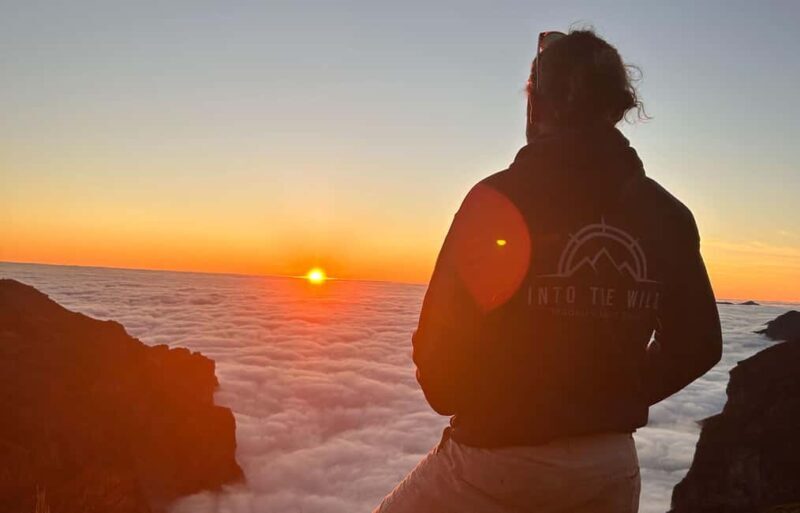 Madeira: Unforgettable Sunrise & Hike Experience - The Guided Hike: From Dawn to Daylight
