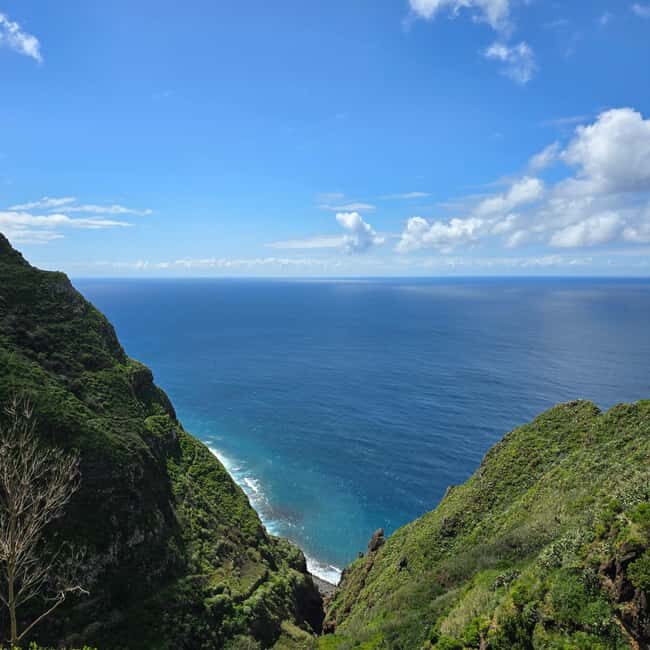 Madeira: Vereda da Ladeira Challenging Full-Day Hike - The Experience and Guides