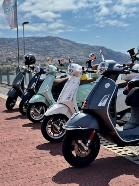 Madeira: Vespa Primavera 125cc 24-Hour Rental - Who Would Love This Experience?