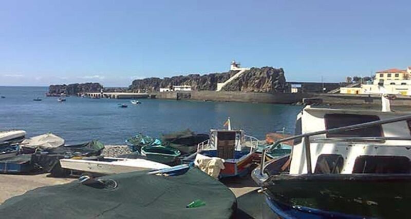 Madeira: Vineyard Tour w/ Wine Tasting & Skywalk - An In-Depth Look at the Madeira Vineyard & Skywalk Tour