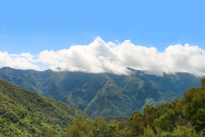 Madeira: Walk in Fanal and Seixal Beach Guided Tour - Practical Details and Considerations