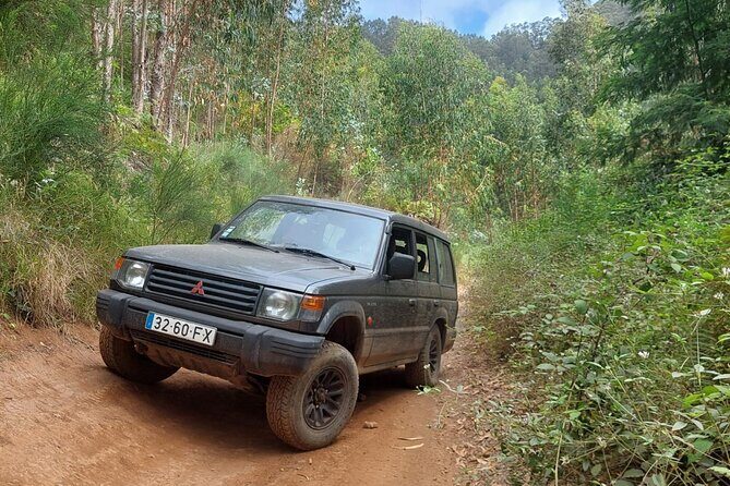 Madeira West 4x4 Jeep Safari: Wild Coast, Lava Pools & Fanal - The Sum Up