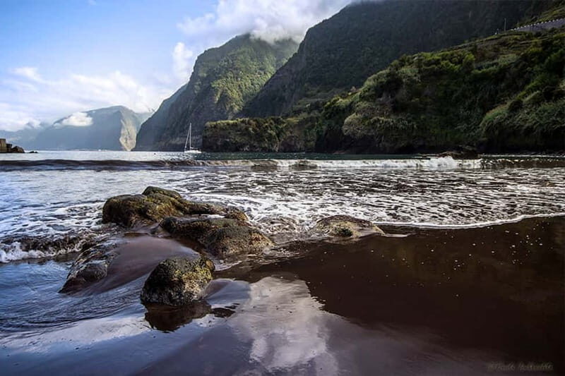 Madeira West Island Full-Day Tour with Fanal Forest - The Value of This Experience