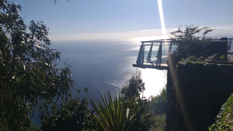 Madeira West Island Full-Day Tour with Fanal Forest - Who Is This Tour Best For?