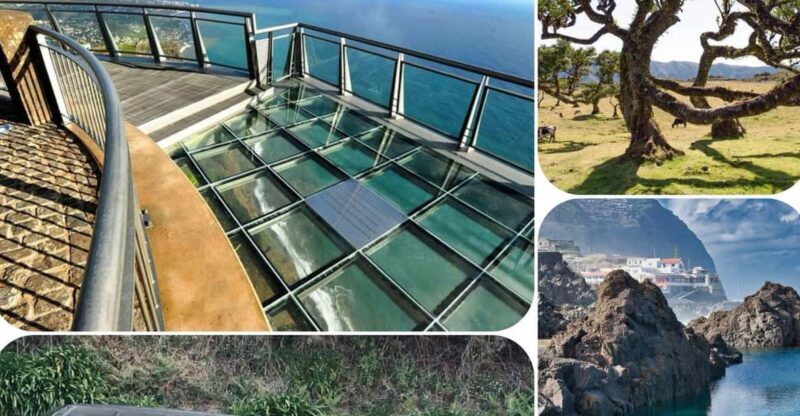 Madeira: West Tour With Guide Fanal Forest SykWalkExperience - Key Points