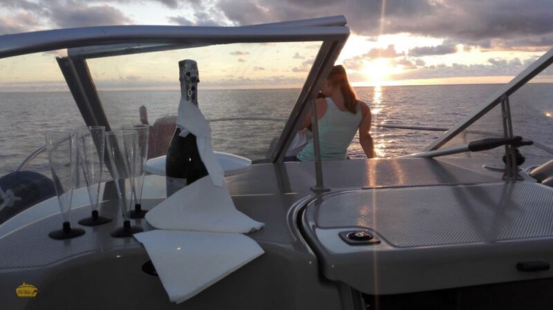 Madeira: Whale and Dolphin Watching Private Cruise - Key Points