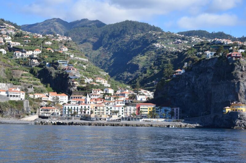 Madeira: Whale and Dolphin Watching Private Cruise - Price, Duration, and Value